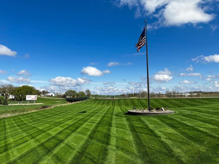 Lawn picture with flag