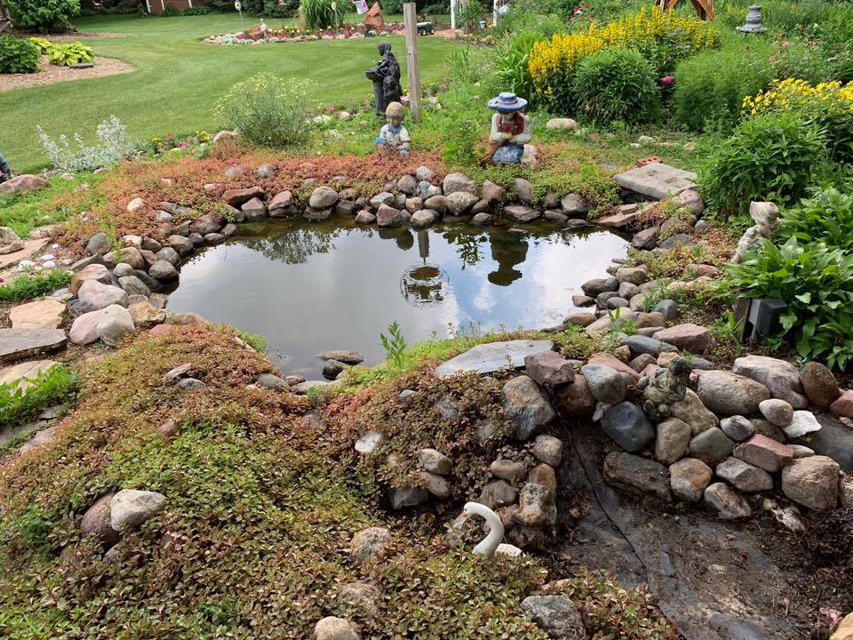 pond project